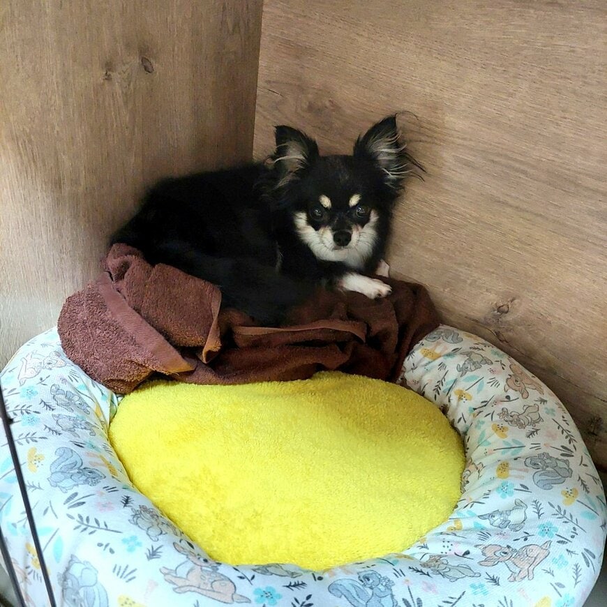 出所：@bunbunbubunta