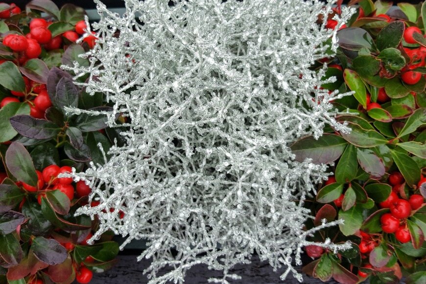 Roel_Meijer/istockphoto.com