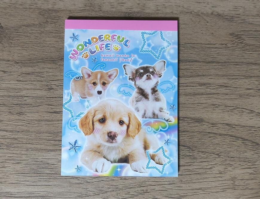 筆者撮影（セリア、メモ 50P 平成レトロ）