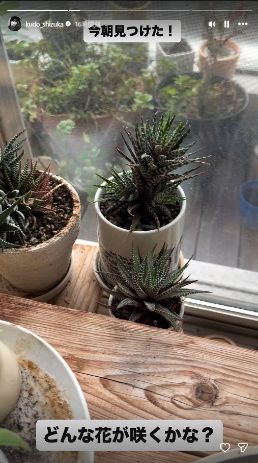 出所：工藤静香のInstagram（＠kudo_shizuka）　参照日：2026年4月10日