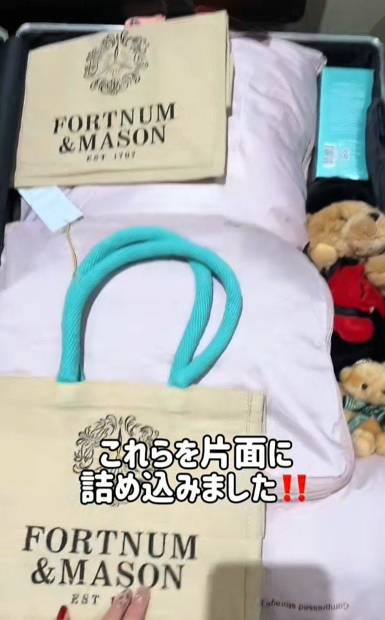 スーツケースの左側