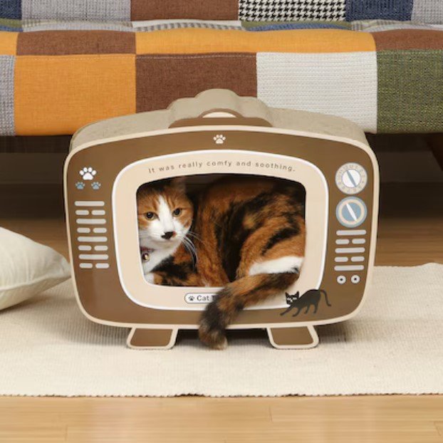 猫の爪とぎ テレビ