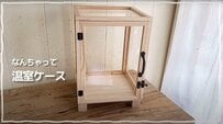 【100均でDIY】セリアの100均フォトフレームを使って「温室ケース」が爆誕！何を入れて飾ろうか悩む...