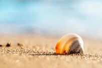 【8月15日は年金支給日】現代シニアの平均年金月額はいくら？【早見表】「厚生年金・国民年金」の平均受給額を一覧でチェック