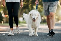 【老齢年金一覧表】60歳～90歳以上《1歳刻みの平均年金月額》リスト形式で確認！15万円の年金は「繰上げ・繰下げ受給」でどう変わる？《シミュレーション》