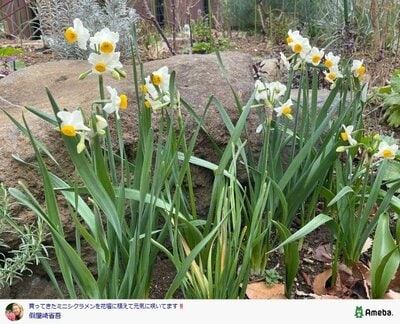 假屋崎省吾の公式ブログ投稿