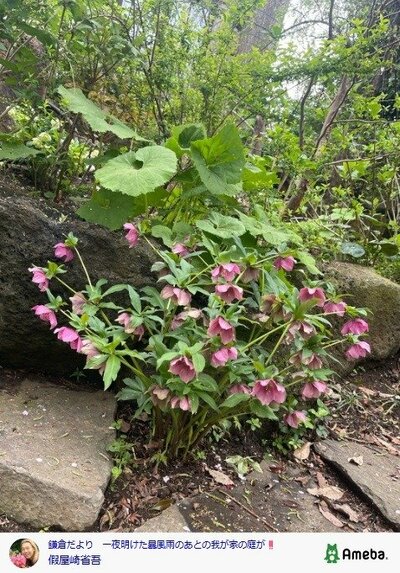 假屋崎省吾の公式ブログ投稿