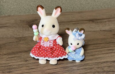 筆者撮影（セリア、ドール だんご・和菓子）