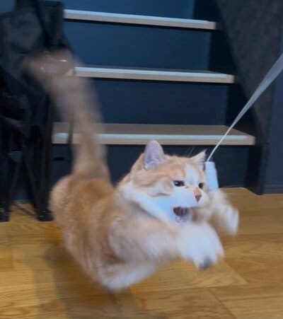 躍動感！！