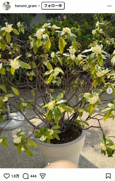 栗原はるみのInstagram投稿