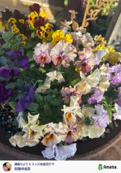 假屋崎省吾の公式ブログ投稿