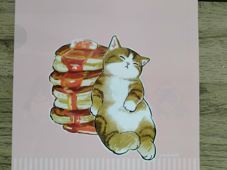 筆者撮影（セリア、モフサンド A4クリアファイル2）