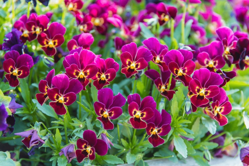 itasun/istockphoto.com