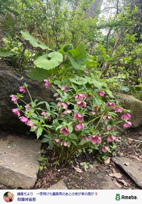 出所：假屋崎省吾 の 公式ブログ 　参照日：2026年4月3日