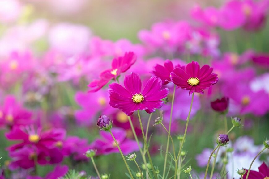 worrawit penpho/istockphoto.com