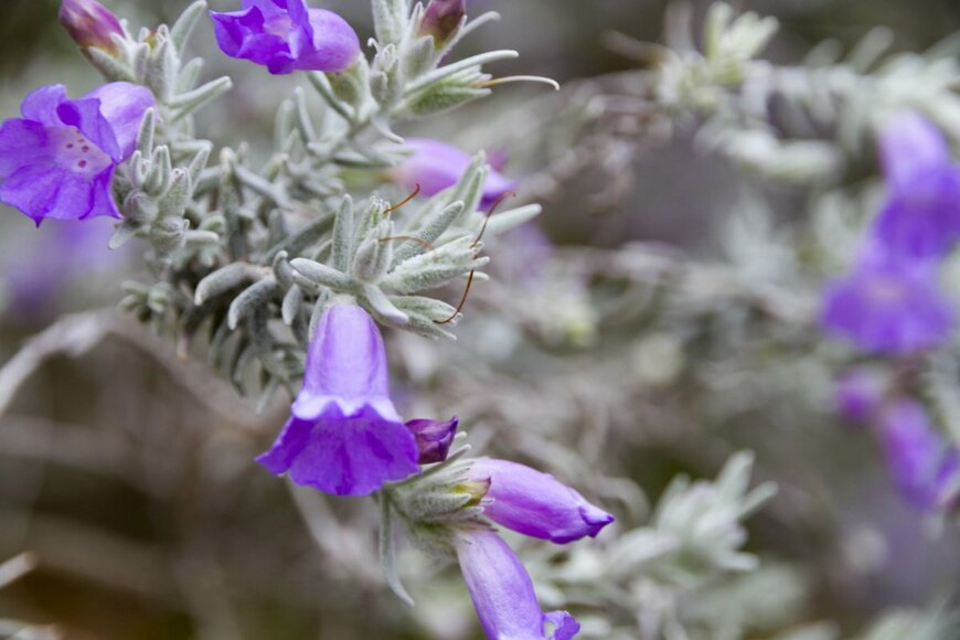 Darkydoors/shutterstock.com