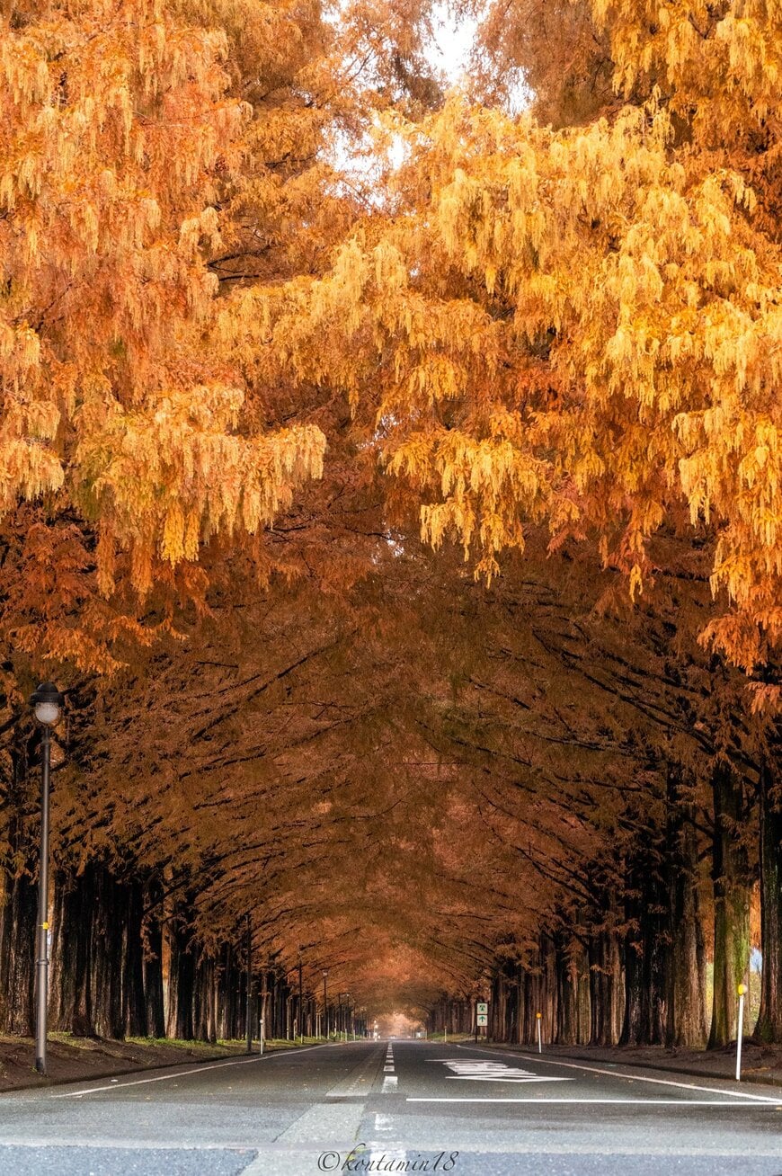 出所：@kontamin18