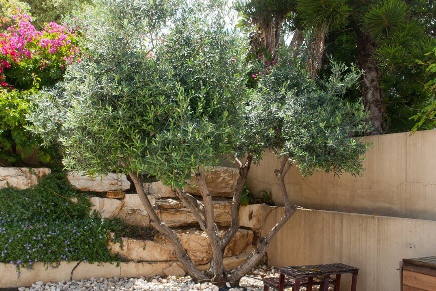 RonyZmiri/istockphoto.com