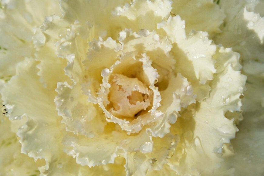 Oksana Stasenko/istockphoto.com