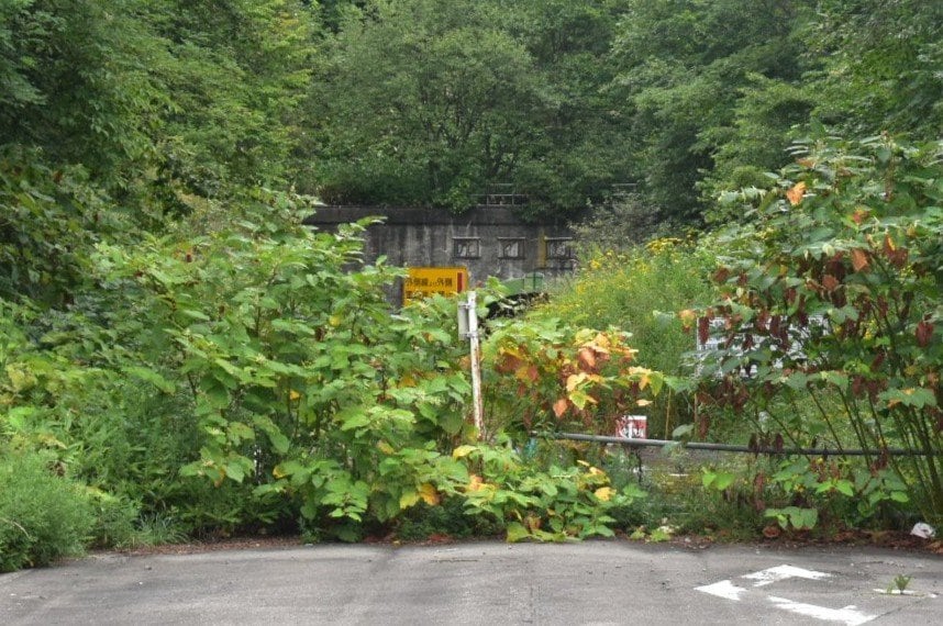 出所：@marokichi09