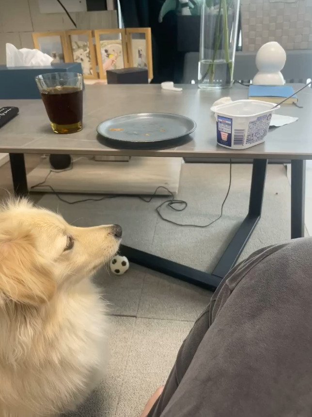 出所：@monaka_0507