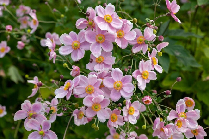 Billy_Fam/istockphoto.com