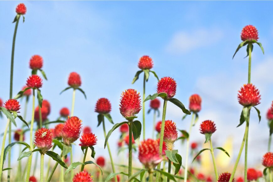 bentaboe/istockphoto.com