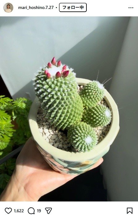 出所：星野真里のInstagram（＠mari_hoshino.7.27） 参照日：2026年3月4日