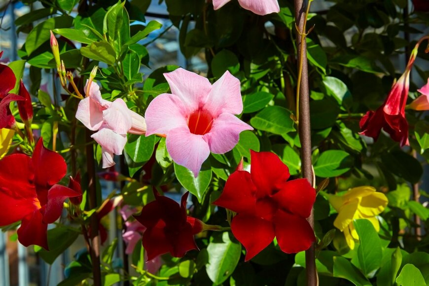 pixel creator/shutterstock.com