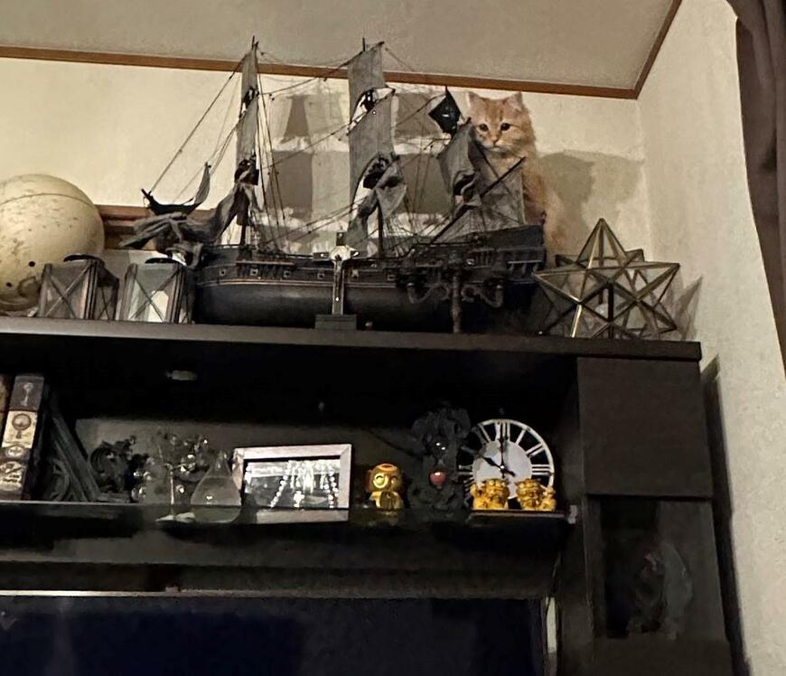 出所：@NEKOLAND13