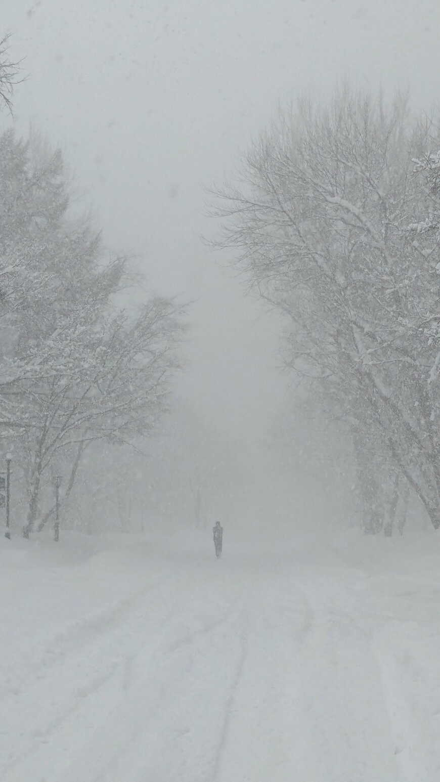 出所：@Arswkissing