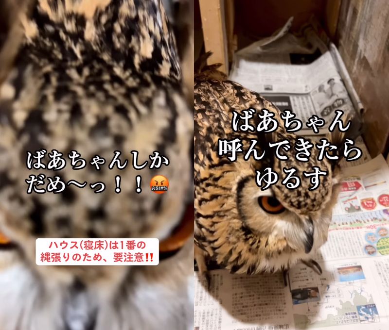 出所：@ba_chantolatte