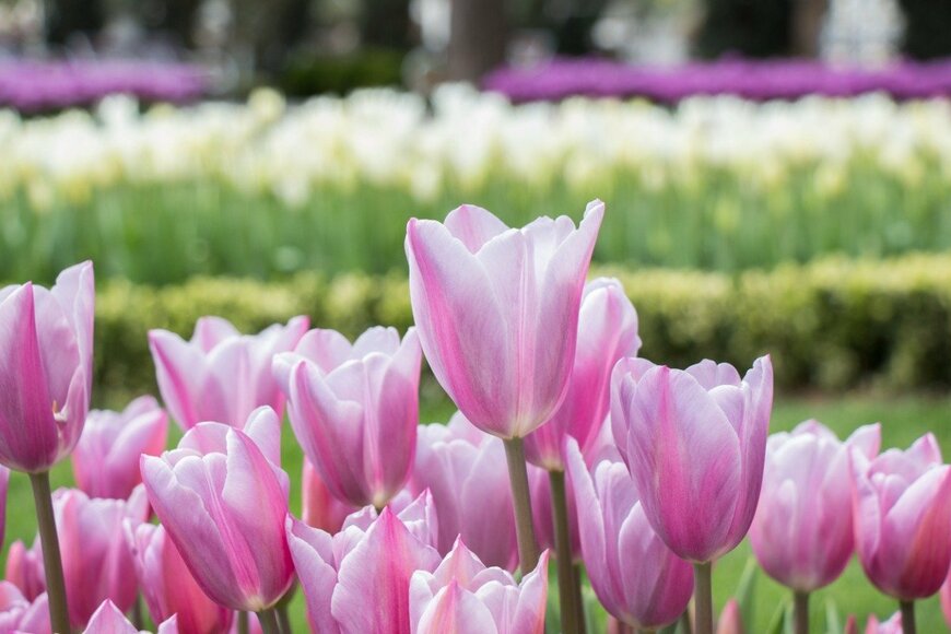 berkay/istockphoto.com