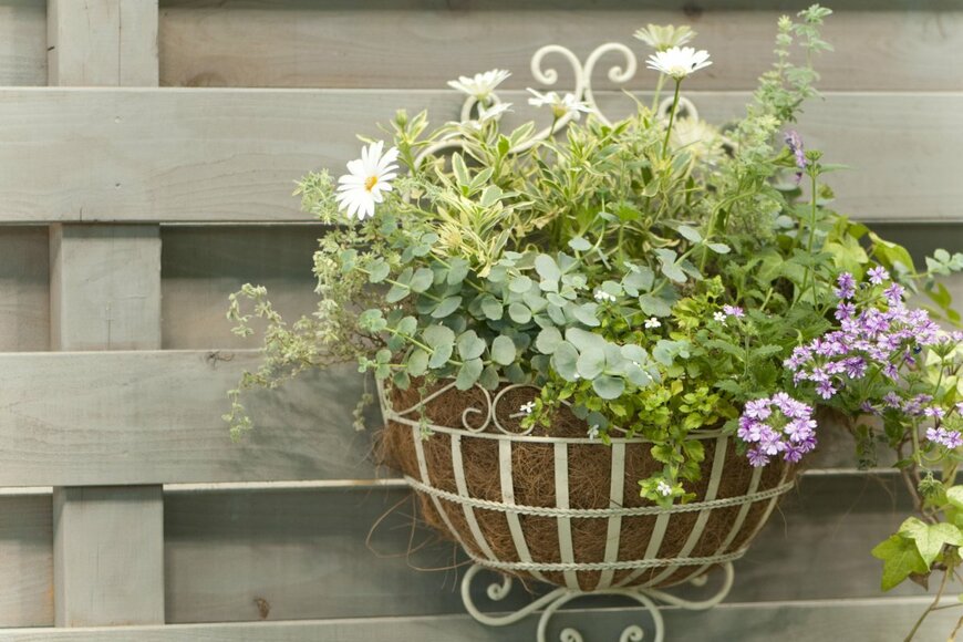 KPG-Payless/shutterstock.com