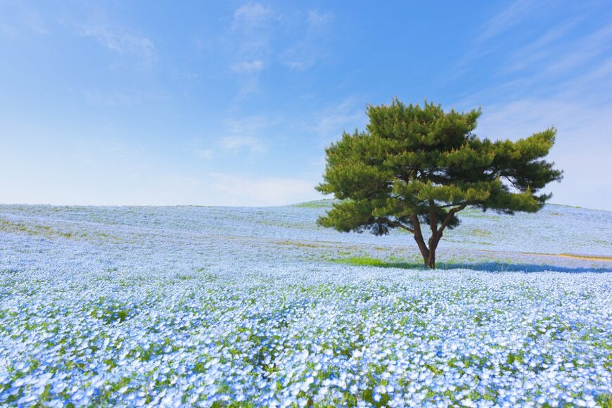 5月は年金支給なし！厚生年金＆国民年金「年金一覧表」60歳～89歳の平均年金月額はいくらですか？