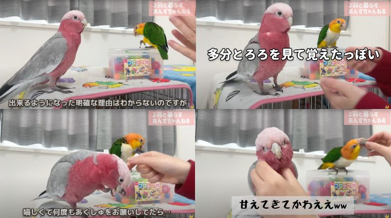 出所：@anz_omomiri