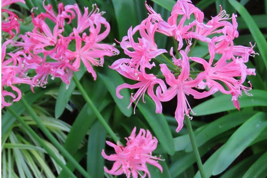 dr-rodriguez/istockphoto.com