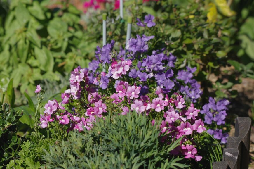 Honki Kumanyan/istockphoto.com