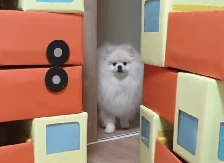 出所：@chikuwa78107742