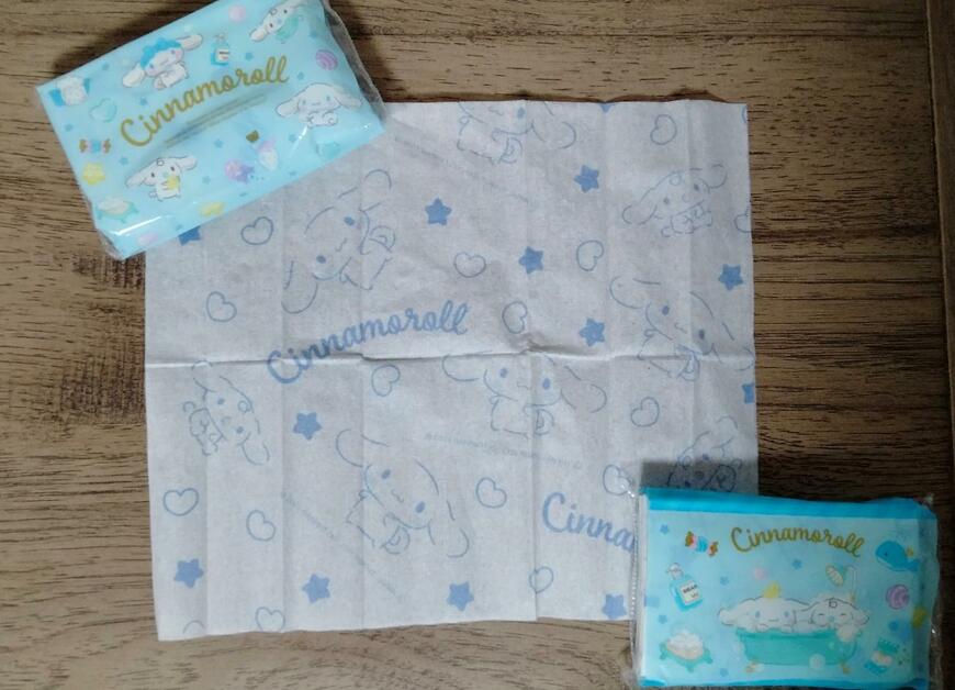 筆者撮影（セリア、プリントティッシュ）