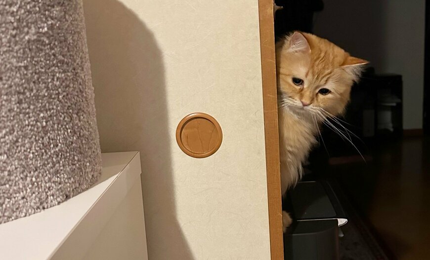 出所：@NEKOLAND13