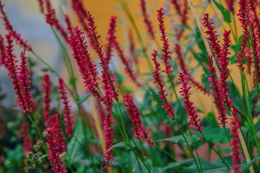 Elenakirey/istockphoto.com