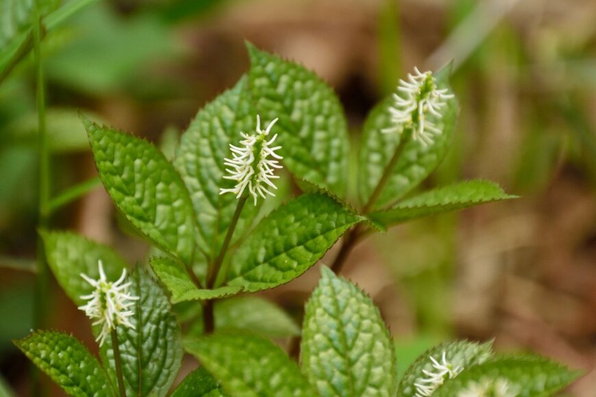 High Mountain/shutterstock.com