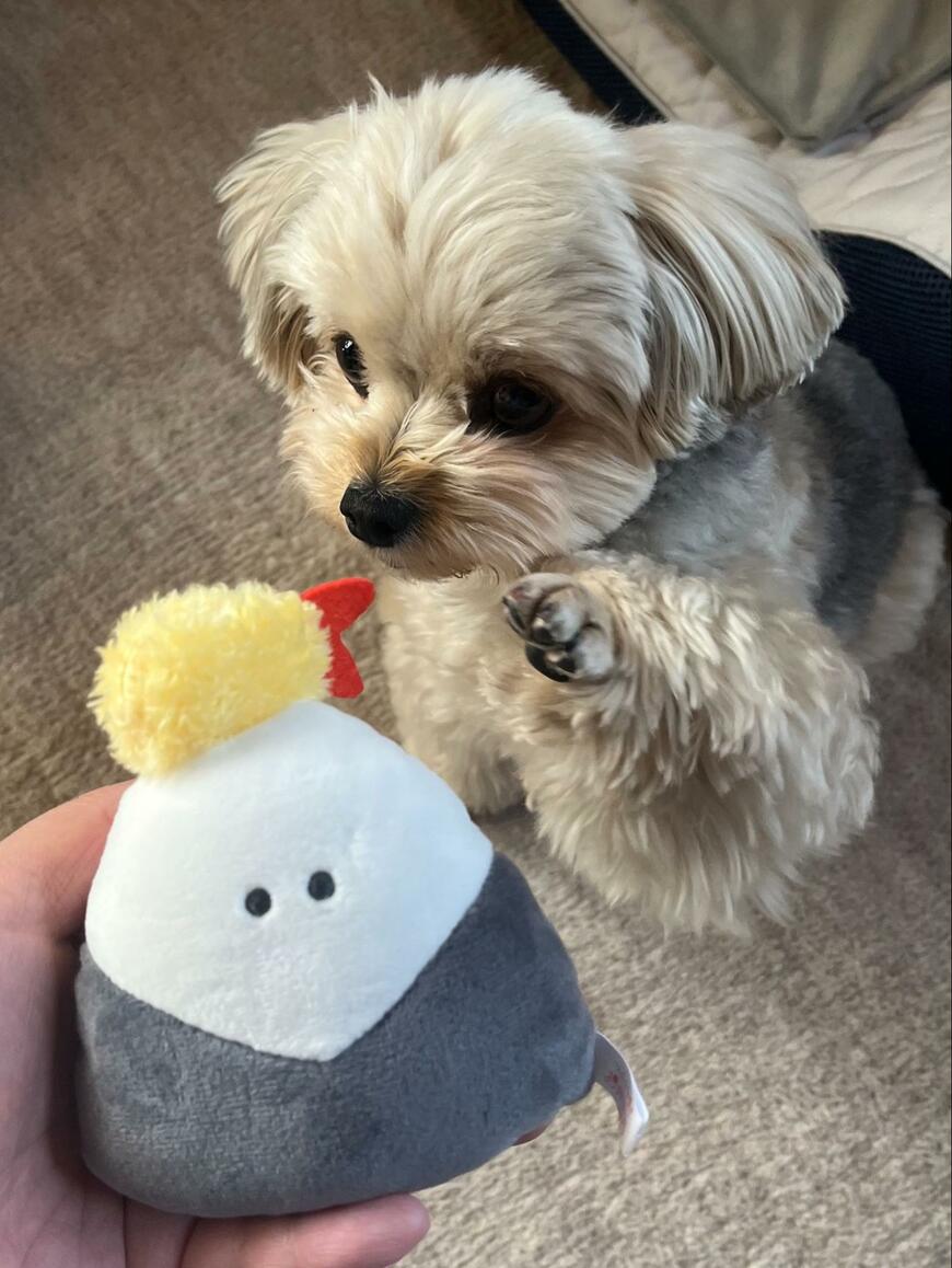 出所：@potage_0924