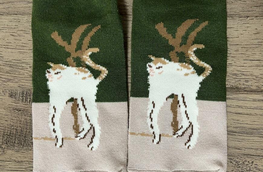 セリア、ピエール・ボナール《白い猫》名画ソックス商品画像並べたところ