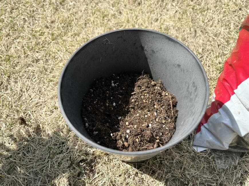 キャンドゥのストーン調プランター4合鉢