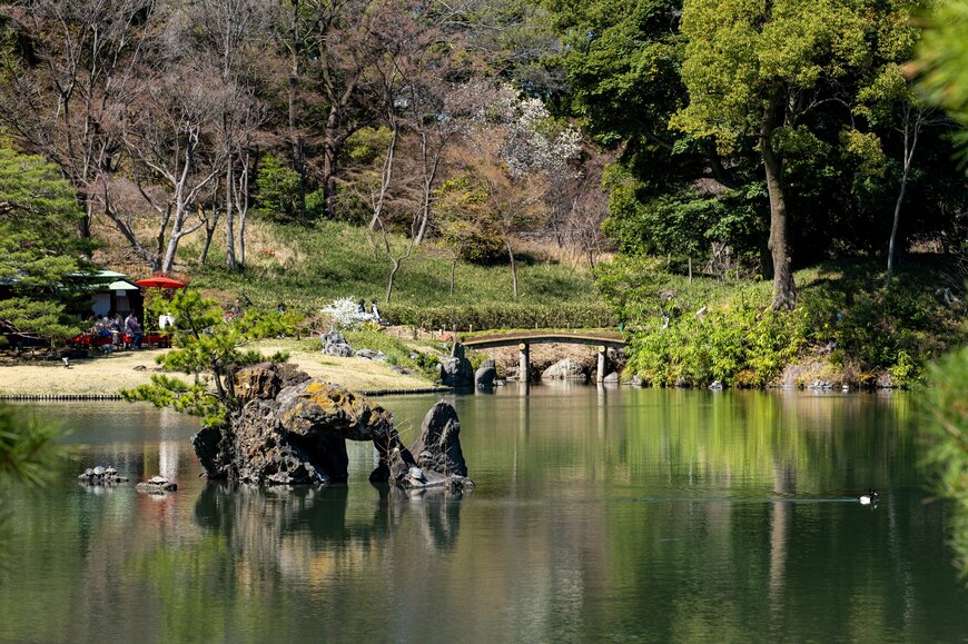 春の日本庭園を楽しめる「六義園」