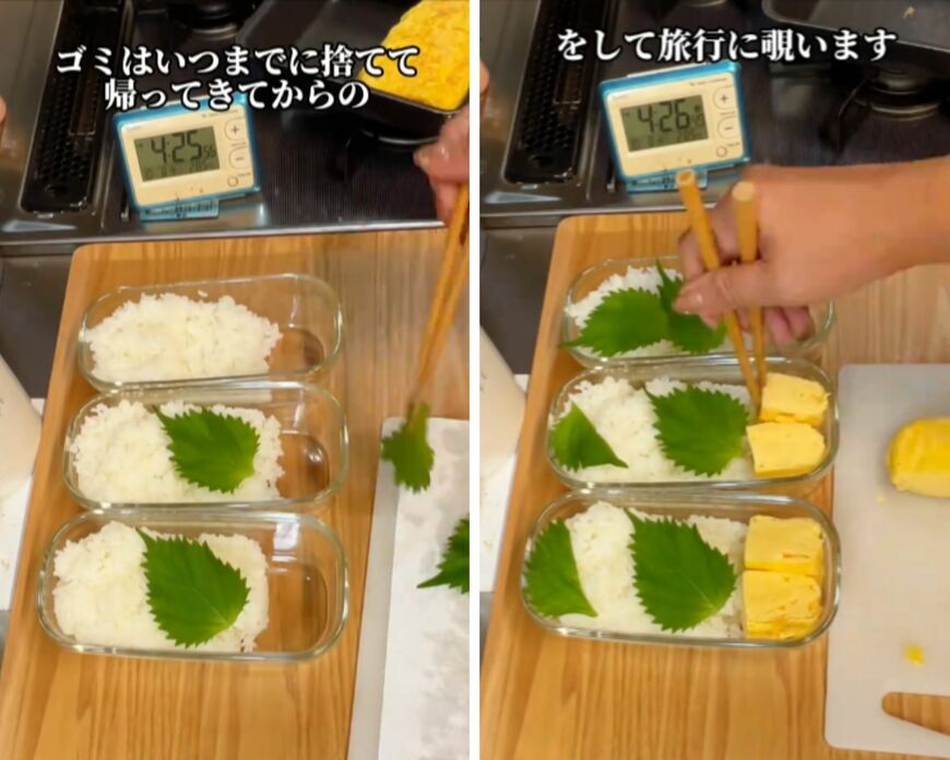 投稿の画像