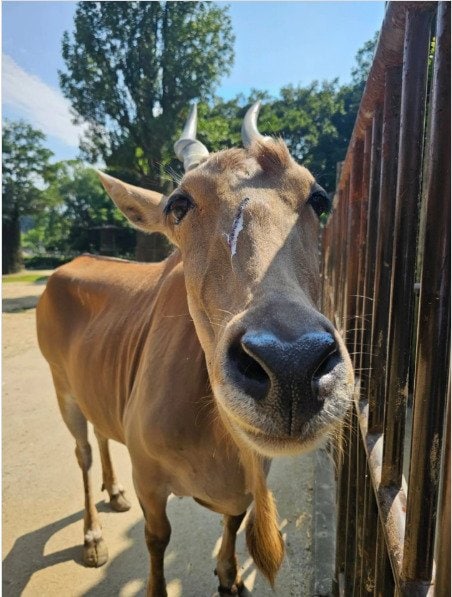 愛媛県立とべ動物園