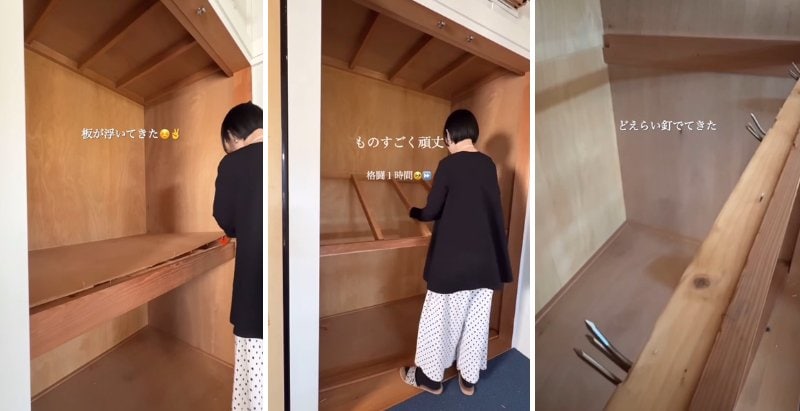 投稿の画像
